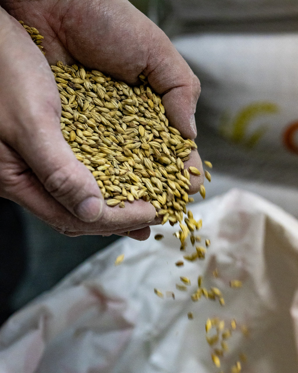 Guided brewery tour at Kildare Brewing Co., Sallins, Co. Kildare