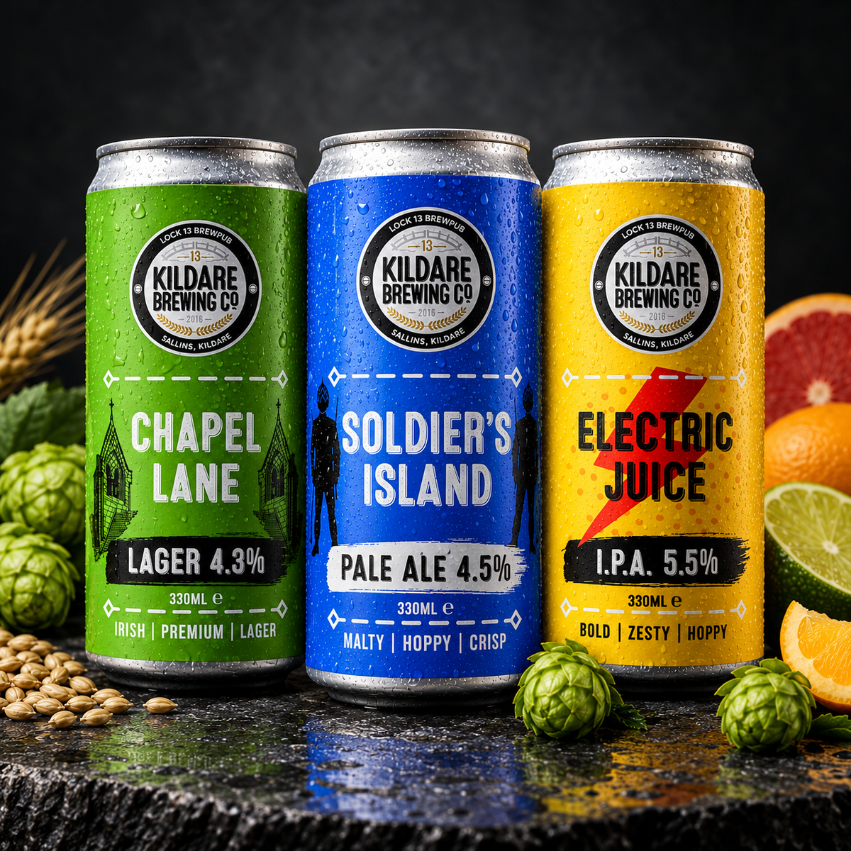 Chapel Lane Lager, Soldier's Island Pale Ale and Electric Juice IPA — four cans of each in the Kildare Discovery Box